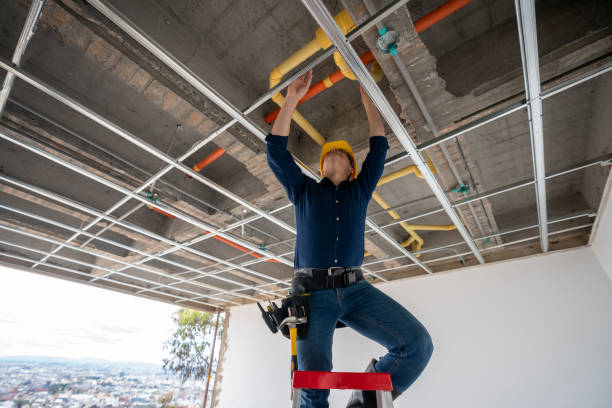 Best Plumbing Services Near Me  in Springboro, OH